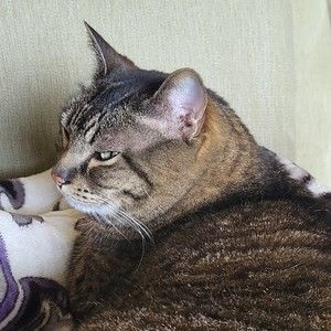 Meet your Posher, Sophia